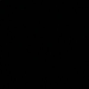 Meet your Posher, Dalton